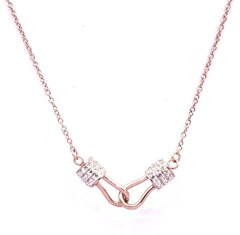 ​​​Welch Rose Steel Stone Necklace
