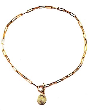 Welch Gold Model Steel Choker Necklace