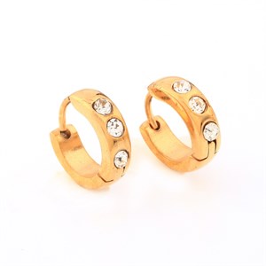 Welch Gold Steel Stone Tiny Hoop Earrings
